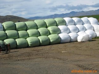 Forage film