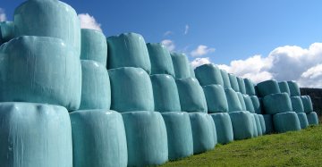 Silage Film